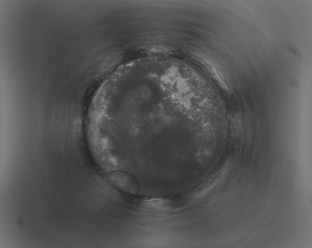 X0000116440269200912291934