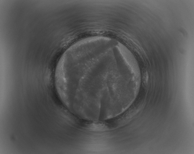 X0000116440270200912291934