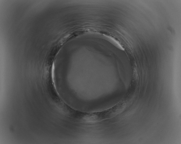 X0000116440271200912291934