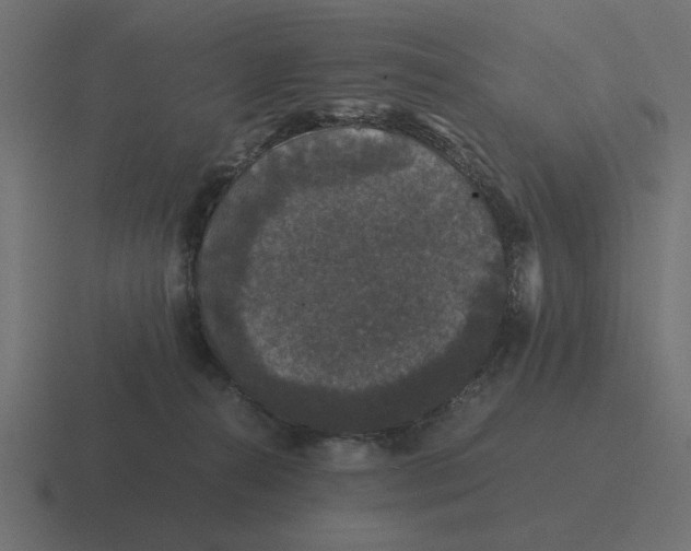 X0000116440272200912291934