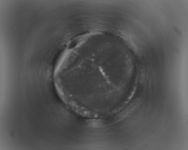 X0000116440273200912291934