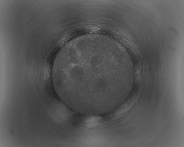 X0000116440274200912291934