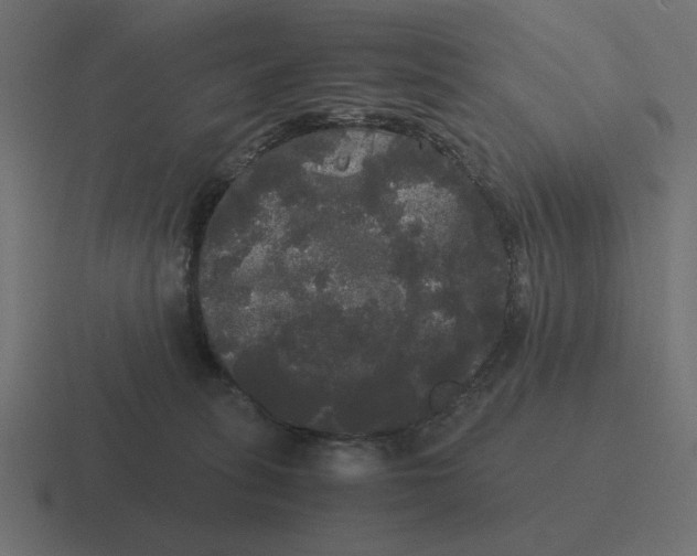 X0000116440275200912291934