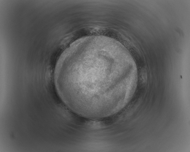 X0000116440276200912291934