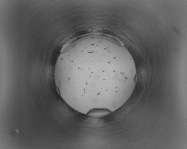 X0000116440280200912291934