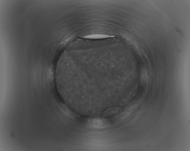 X0000116440282200912291934