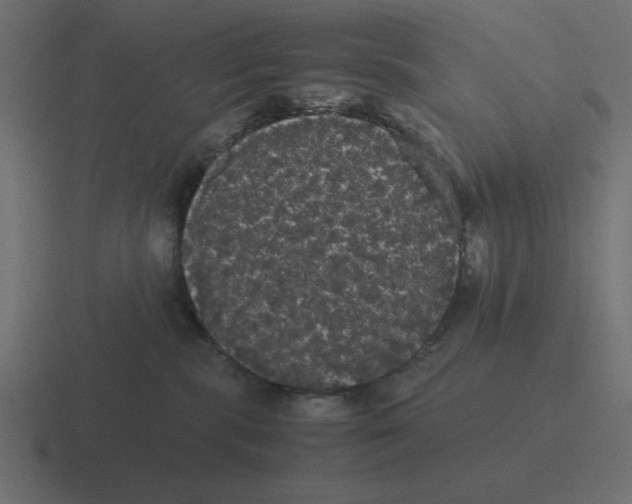 X0000116440283200912291934