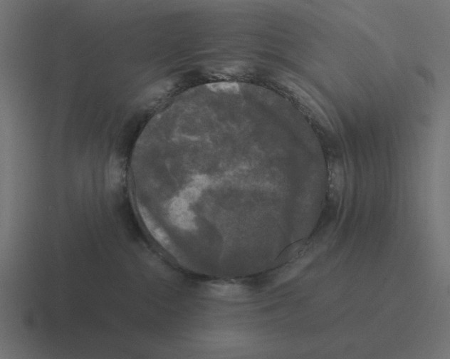 X0000116440284200912291934