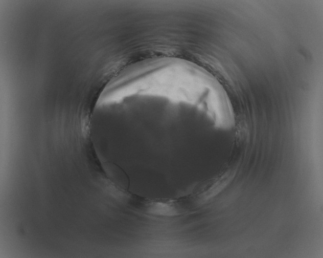 X0000116440285200912291934