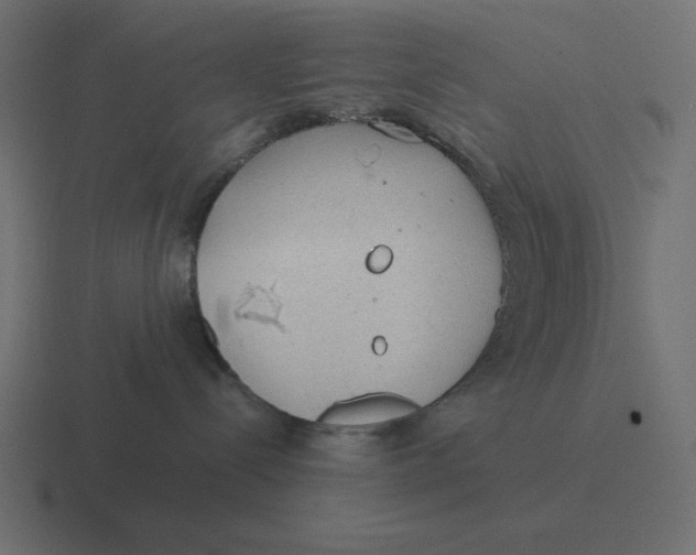 X0000116440288200912291934