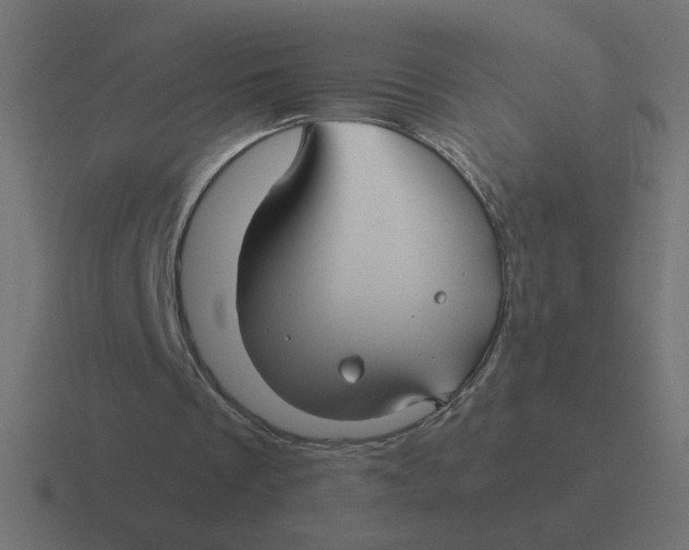 X0000116440289200912291933