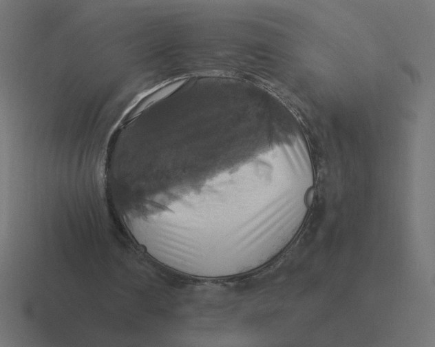 X0000116440290200912291933