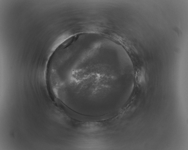 X0000116440292200912291933