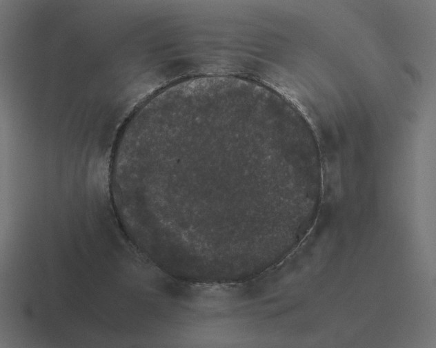 X0000116440297200912291933