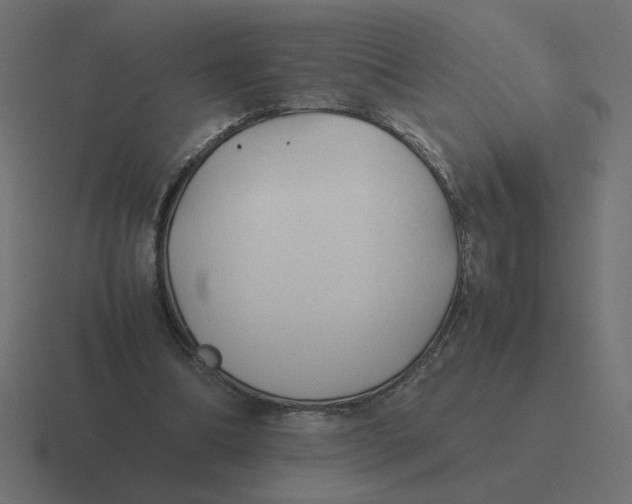 X0000116440298200912291933