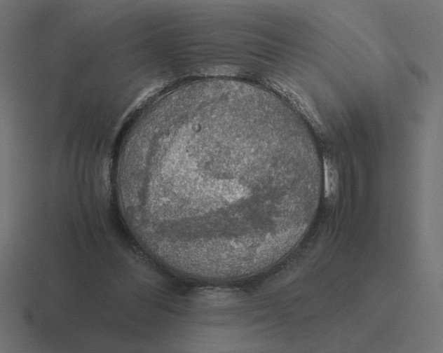 X0000116440300200912291933