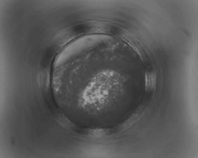 X0000116440301200912291933