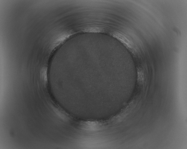 X0000116440302200912291933