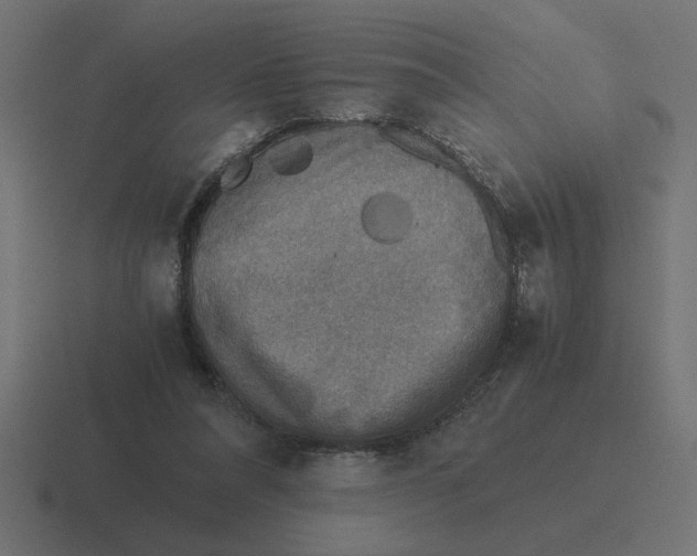 X0000116440304200912291933