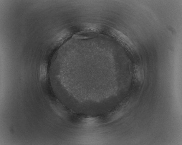 X0000116440312200912291933