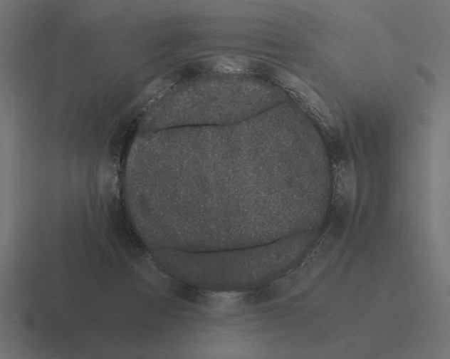 X0000116440313200912291933