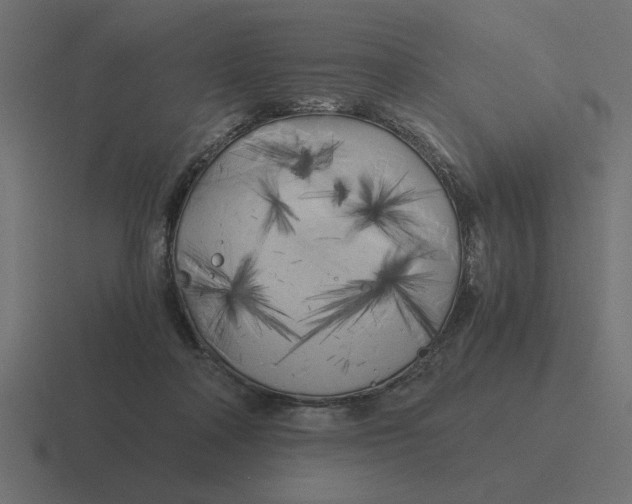 X0000116440314200912291933