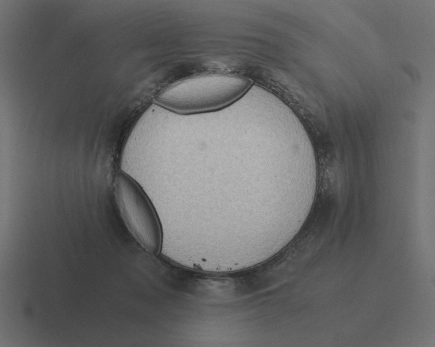 X0000116440317200912291933