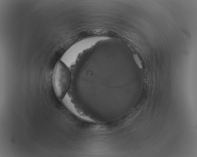 X0000116440319200912291933