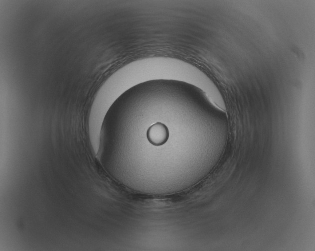 X0000116440320200912291933