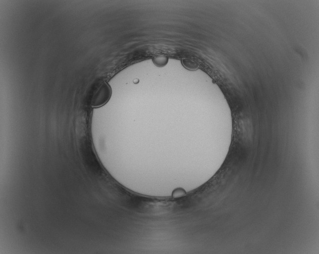 X0000116440323200912291933