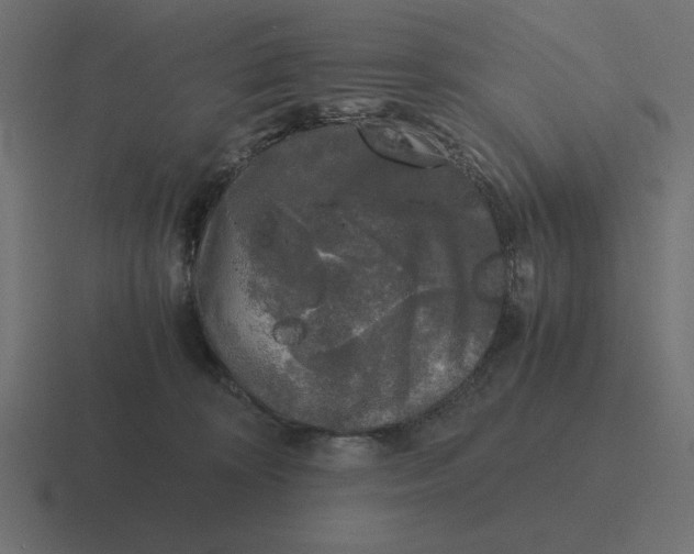 X0000116440324200912291933