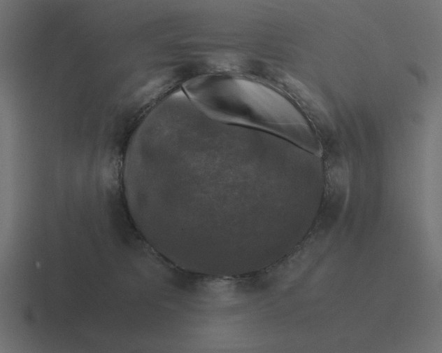 X0000116440325200912291933