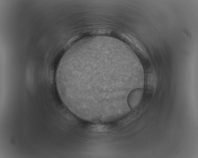 X0000116440326200912291933