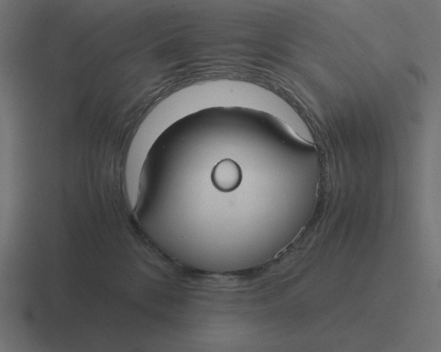 X0000116440328200912291933