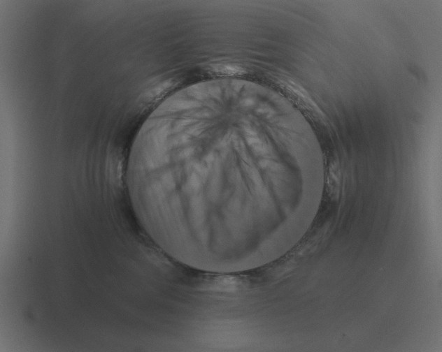 X0000116440330200912291933