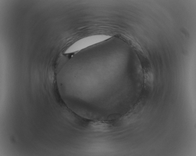 X0000116440331200912291933