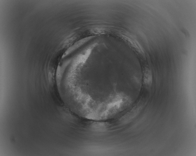 X0000116440332200912291933