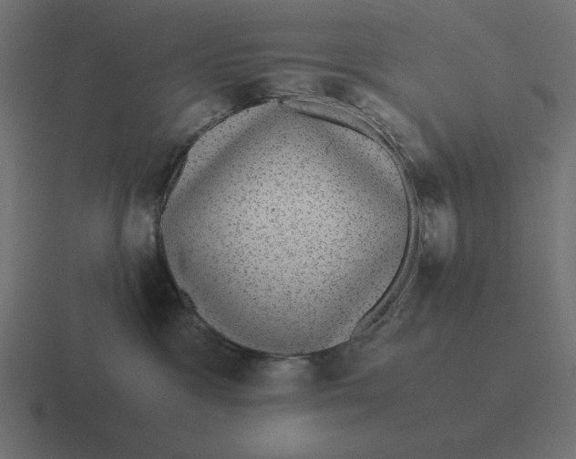 X0000116440333200912291933