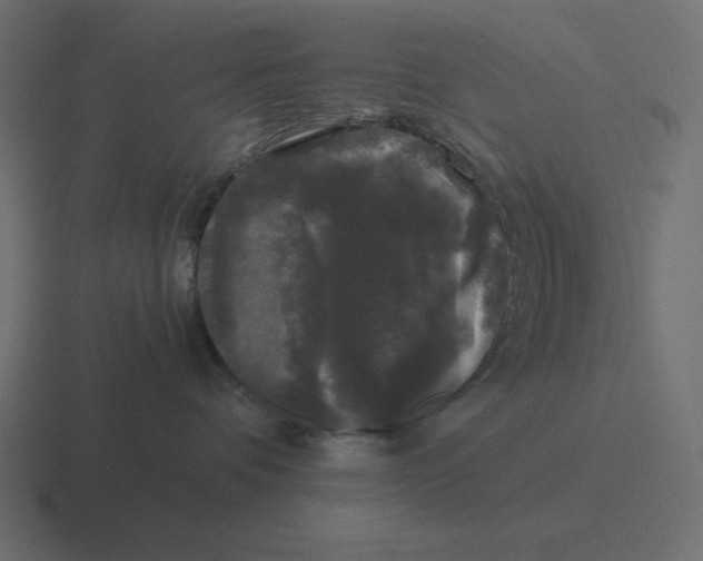 X0000116440336200912291933