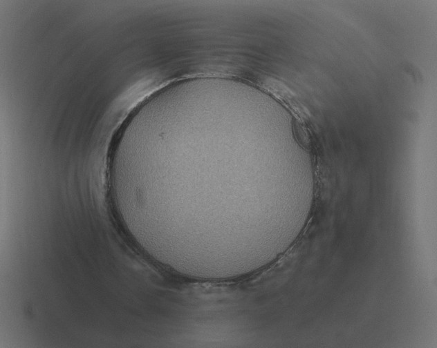 X0000116440338200912291932