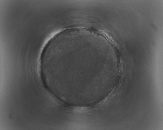 X0000116440342200912291932
