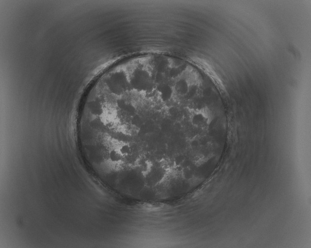 X0000116440346200912291932