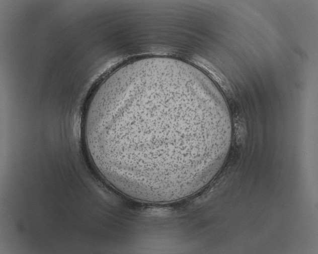 X0000116440350200912291932