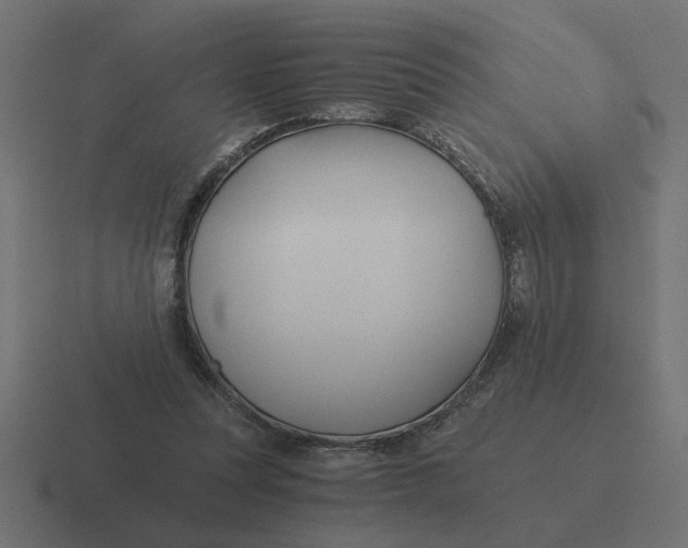 X0000116440351200912291932