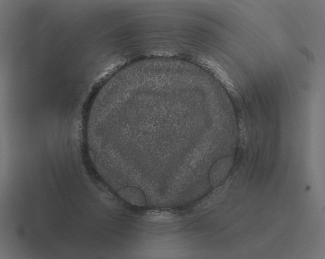 X0000116440354200912291932