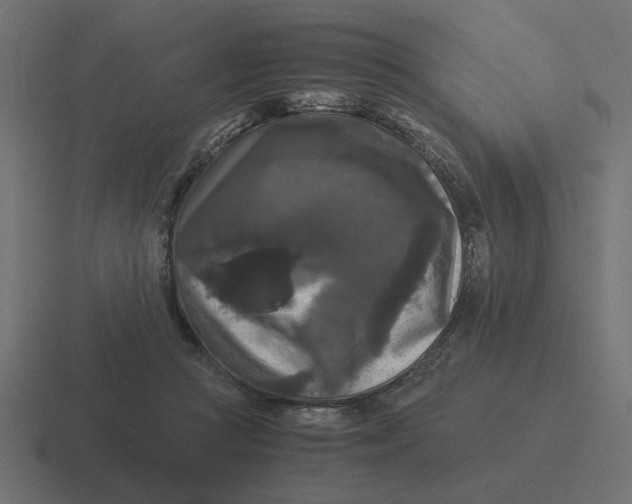 X0000116440361200912291932