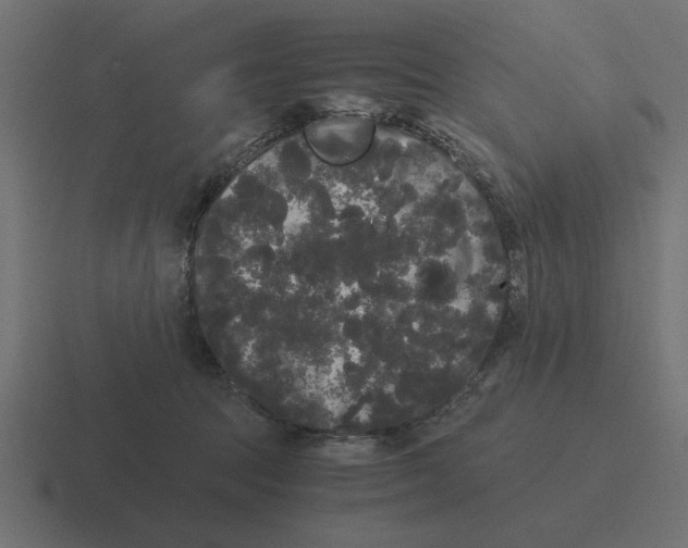 X0000116440369200912291932
