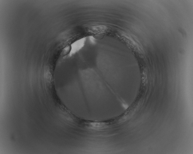 X0000116440371200912291932