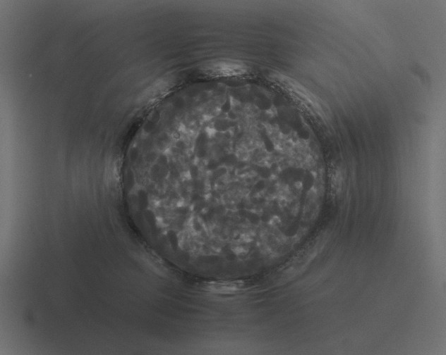 X0000116440373200912291932