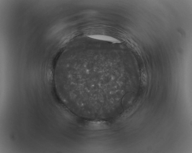 X0000116440375200912291932